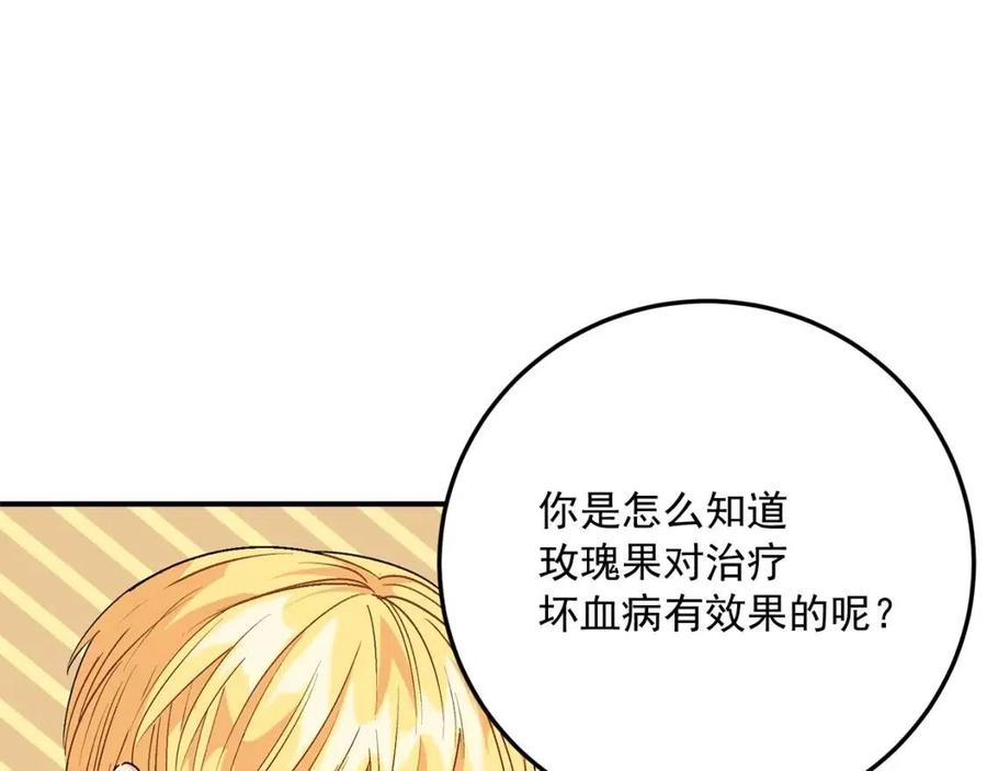 第60话 玫瑰果143