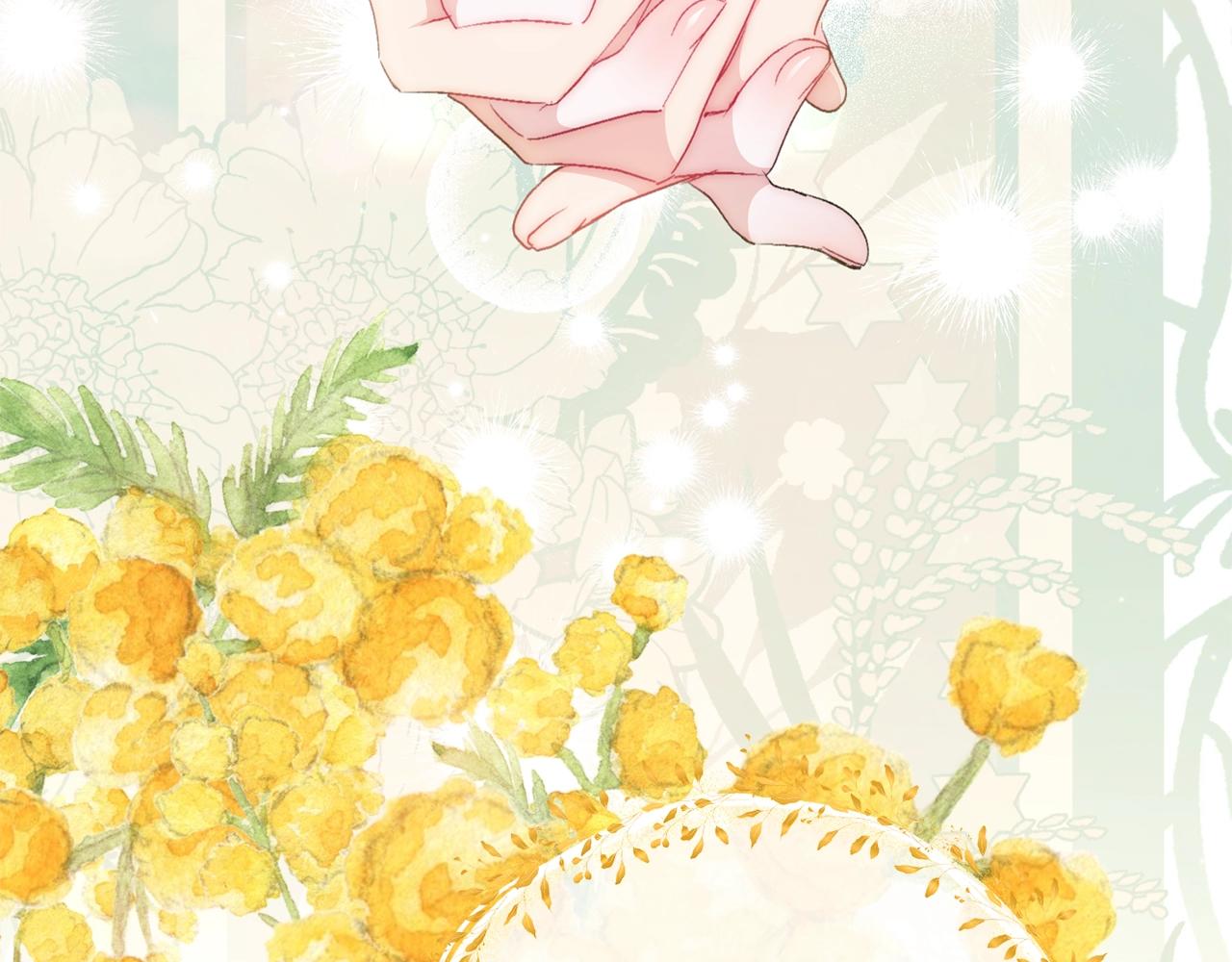 完结篇 番外15 再创辉煌！211