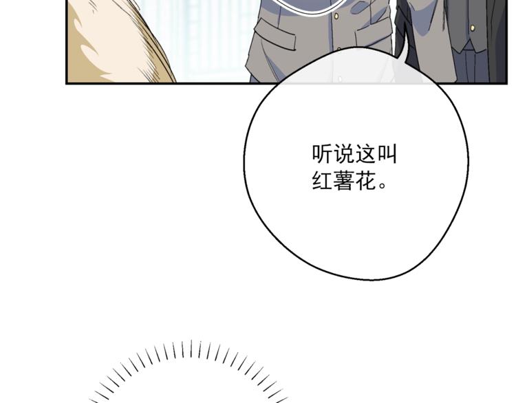 第77话 红薯花127