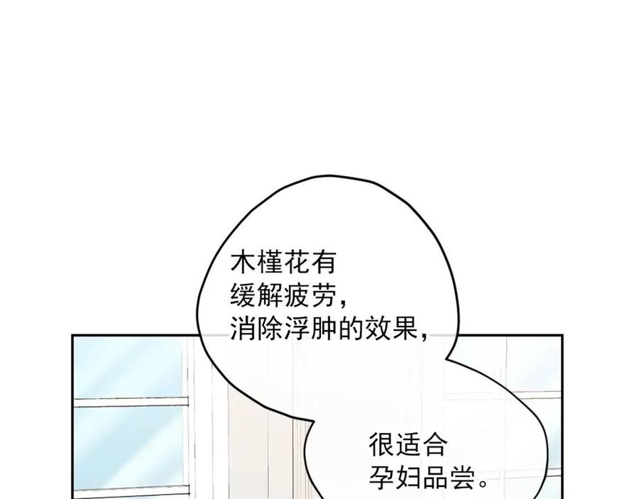 第103话 木槿茶152
