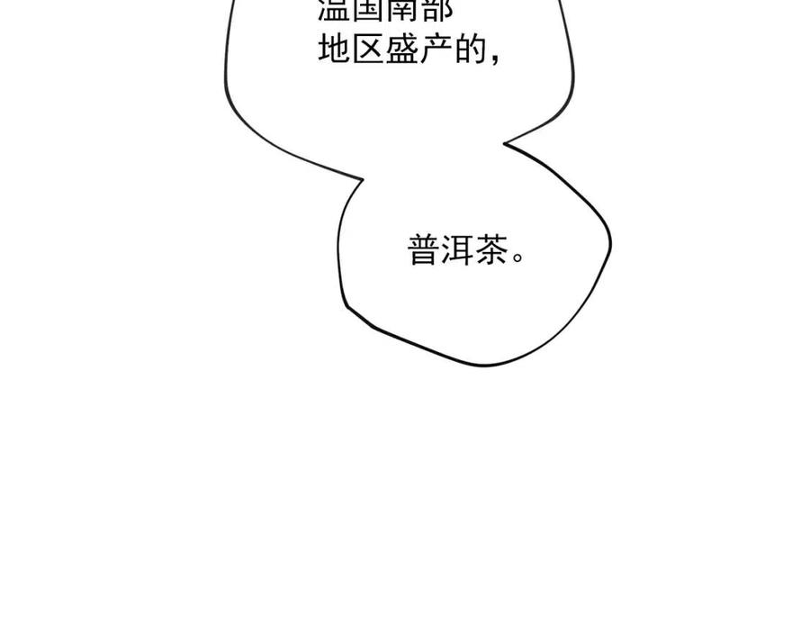 第94话 普洱茶31