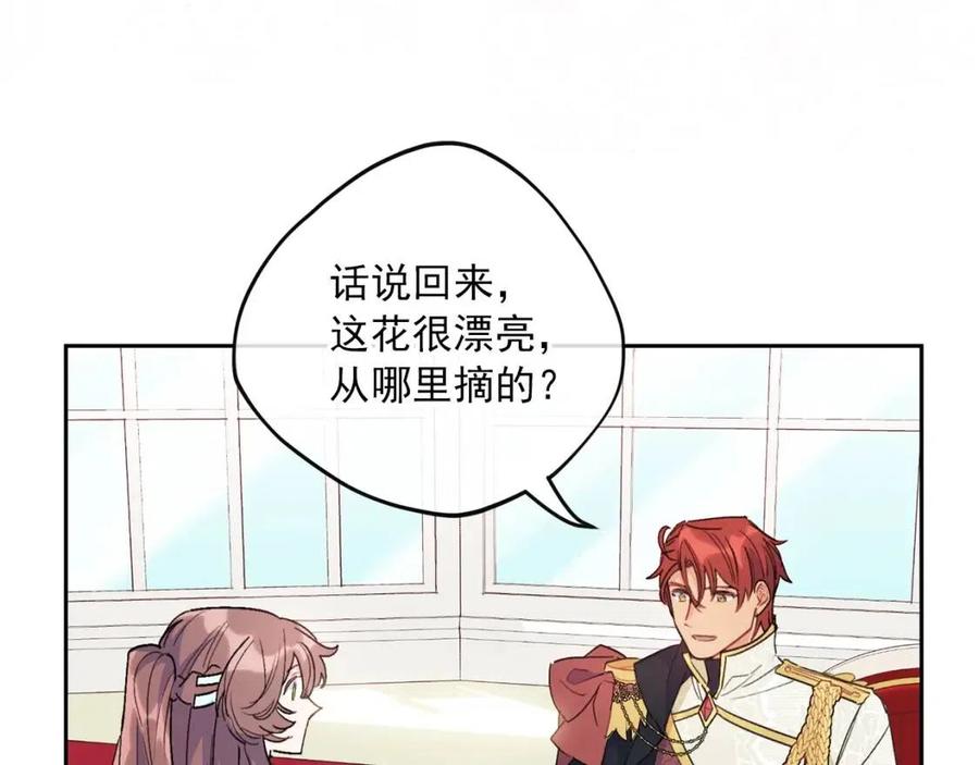 第100话 加香型红茶115