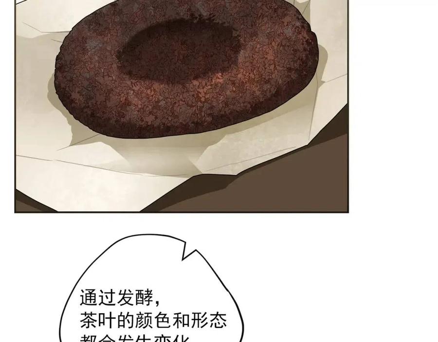 第94话 普洱茶63
