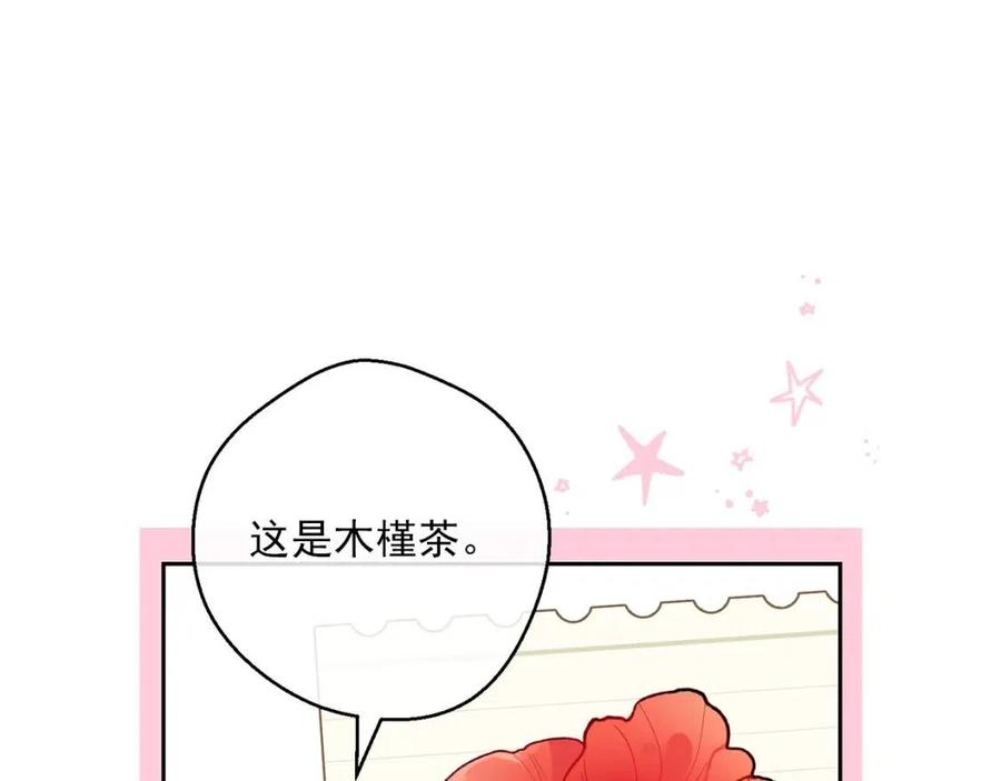 第103话 木槿茶146