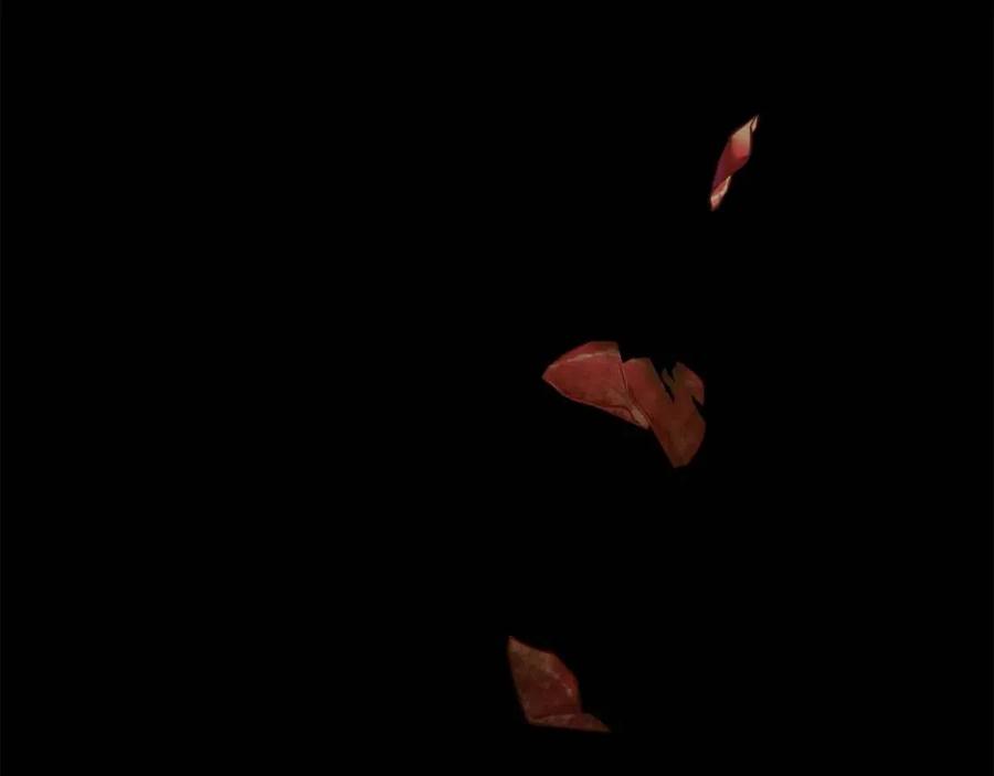 第103话 木槿茶91