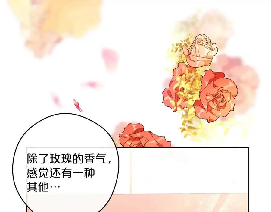 第100话 加香型红茶95