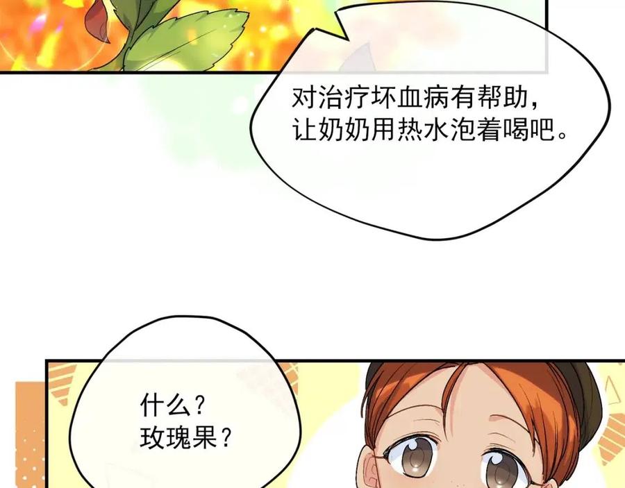 第60话 玫瑰果8