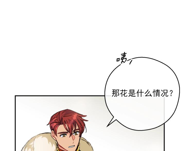 第77话 红薯花123