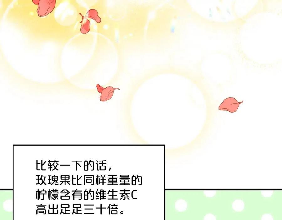 第60话 玫瑰果16