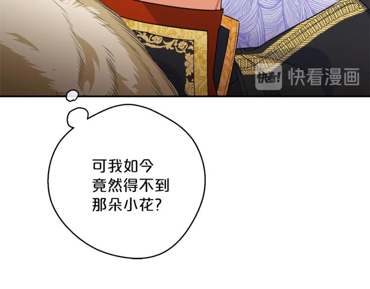 第77话 红薯花116
