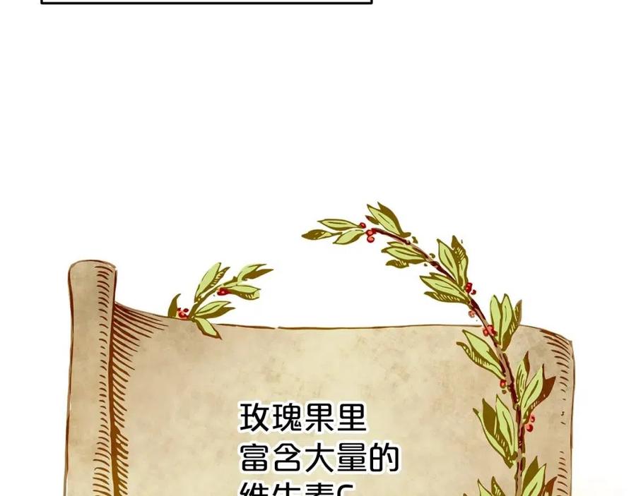 第60话 玫瑰果13