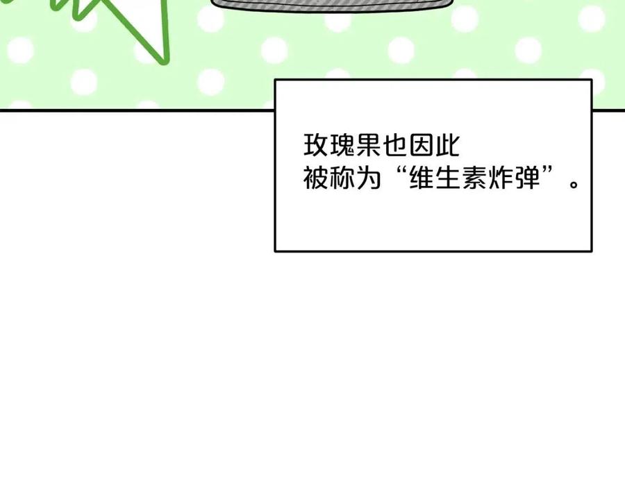 第60话 玫瑰果18