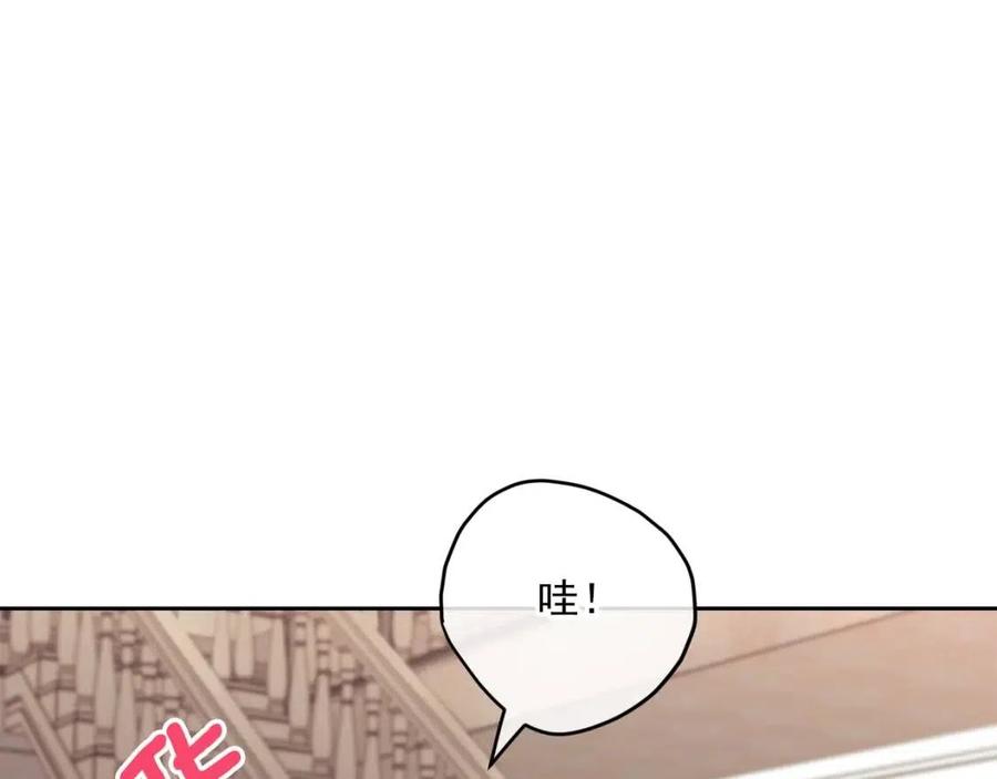 第103话 木槿茶141