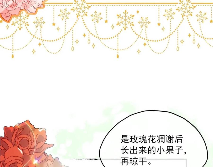 第60话 玫瑰果6
