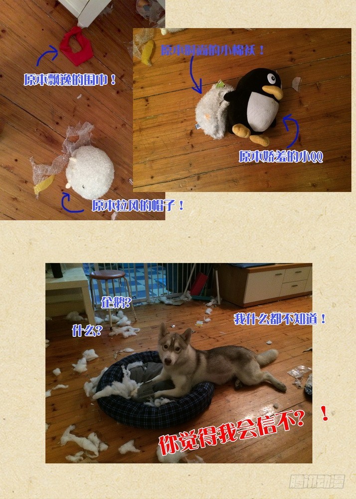 总081·你为何要来！（下）11