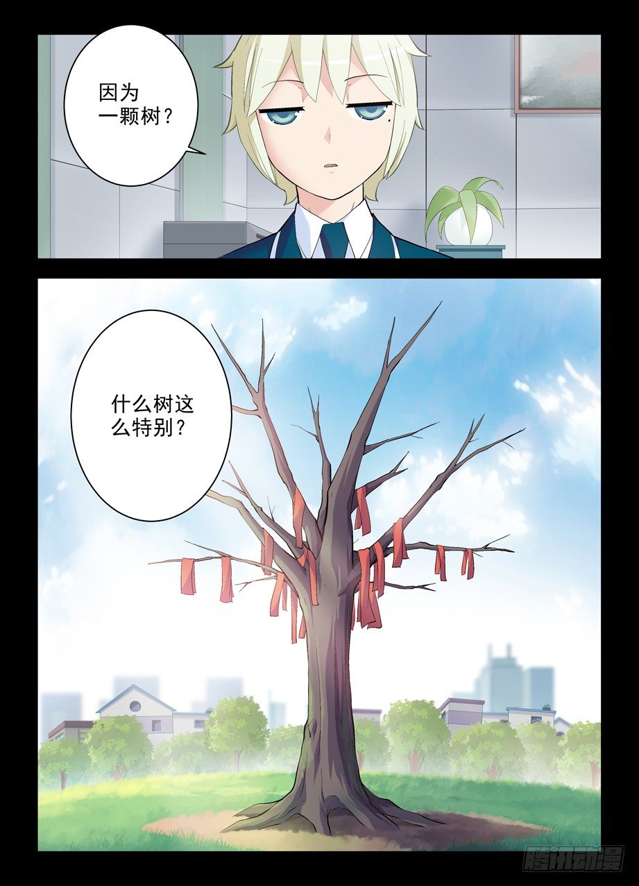 263，那绝逼不是相思树10