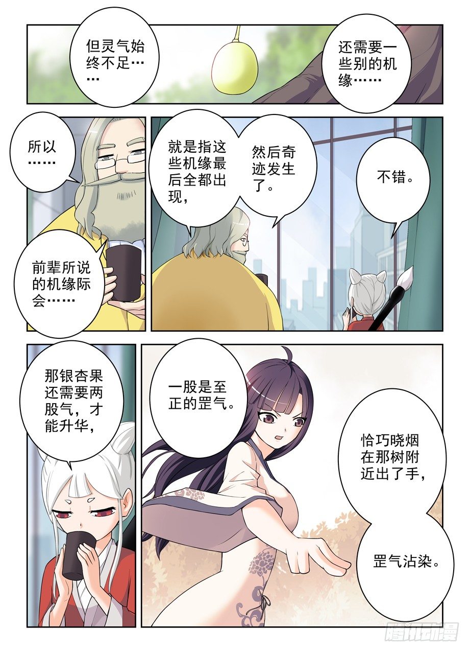 285，银杏果11