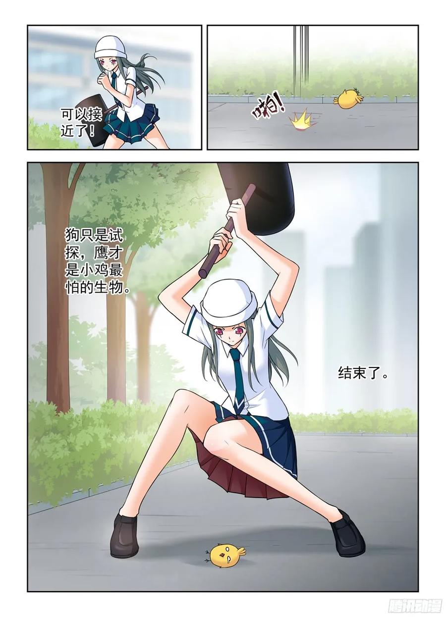 378，原来你是这样的鸡鸡8
