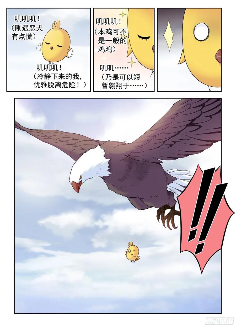 378，原来你是这样的鸡鸡5