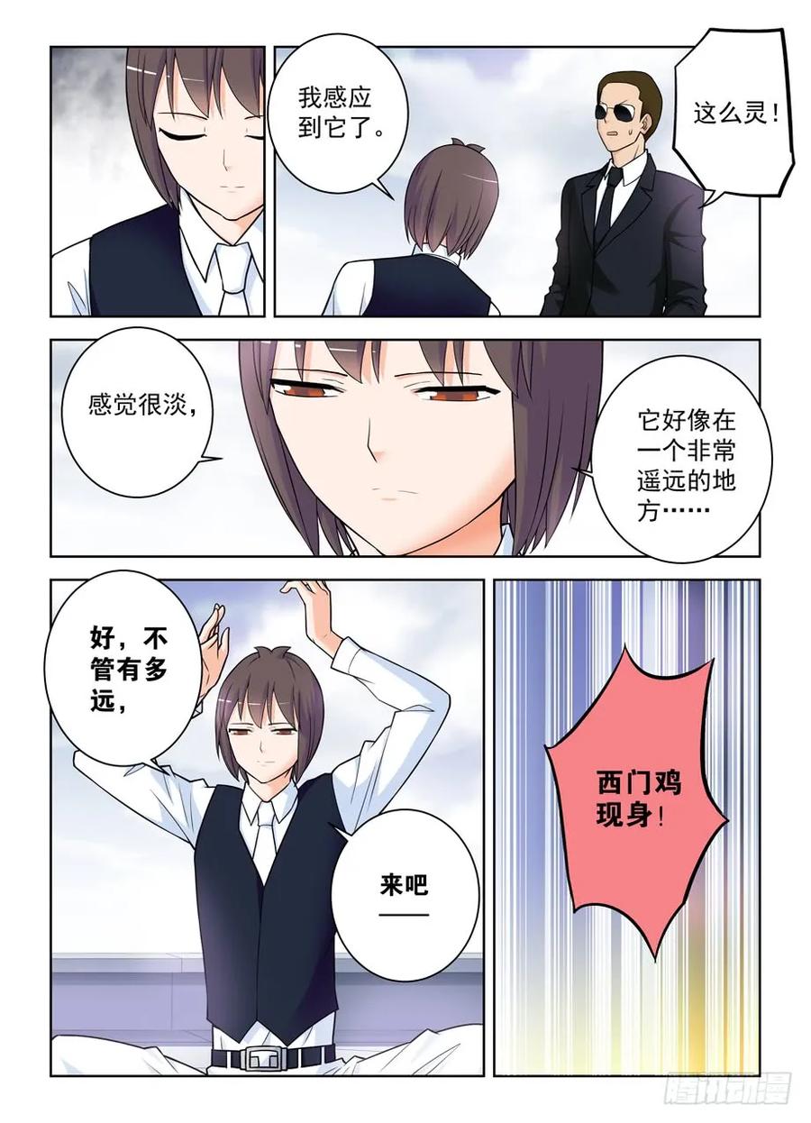 416,因为它是西门鸡11