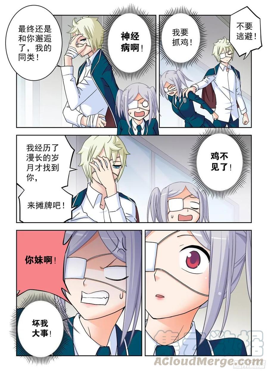 377,小鸡保卫战212