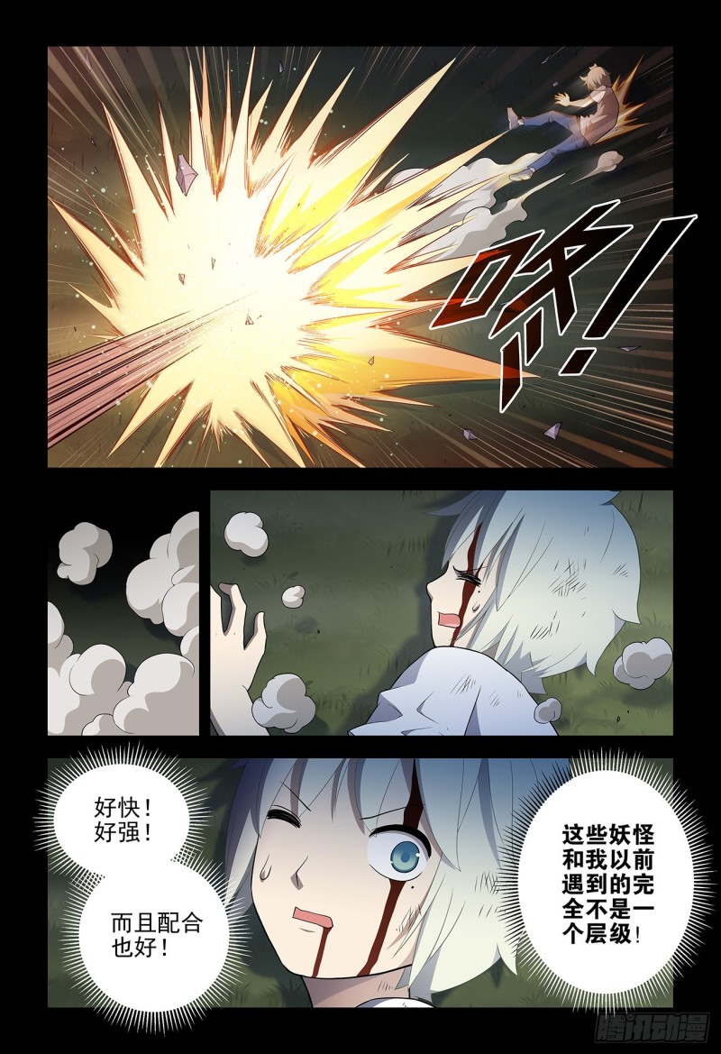 539，草蝴蝶2