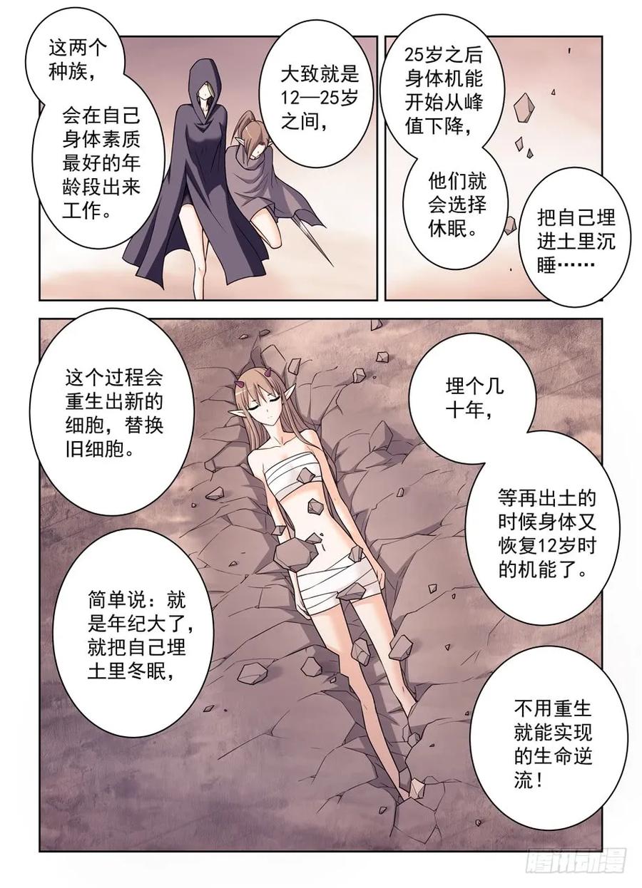 390，祸世姬11
