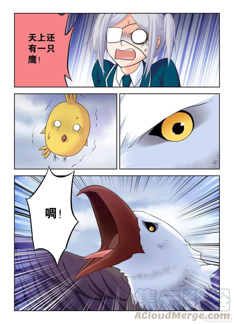 378，原来你是这样的鸡鸡6
