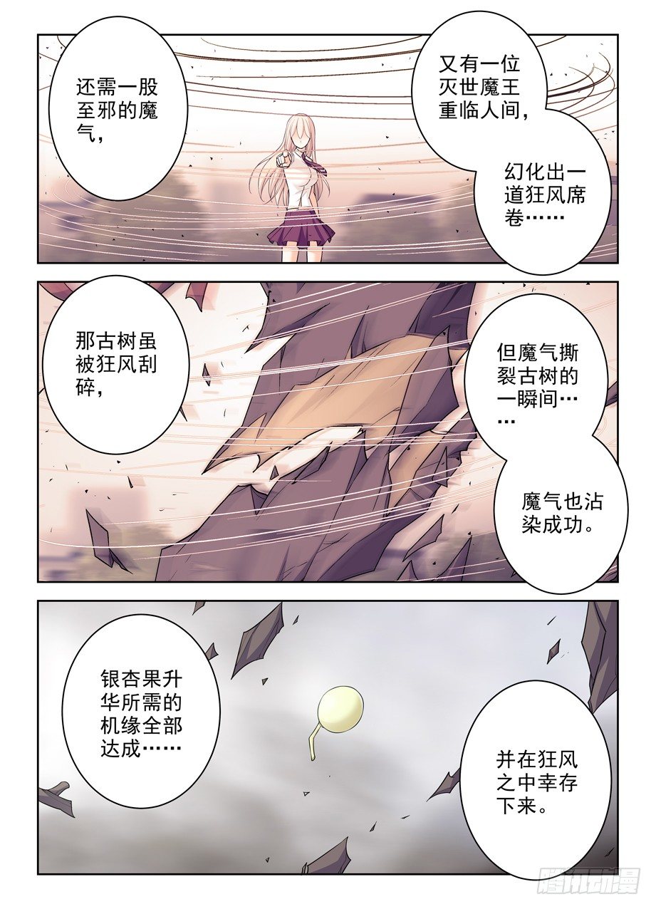 285，银杏果12