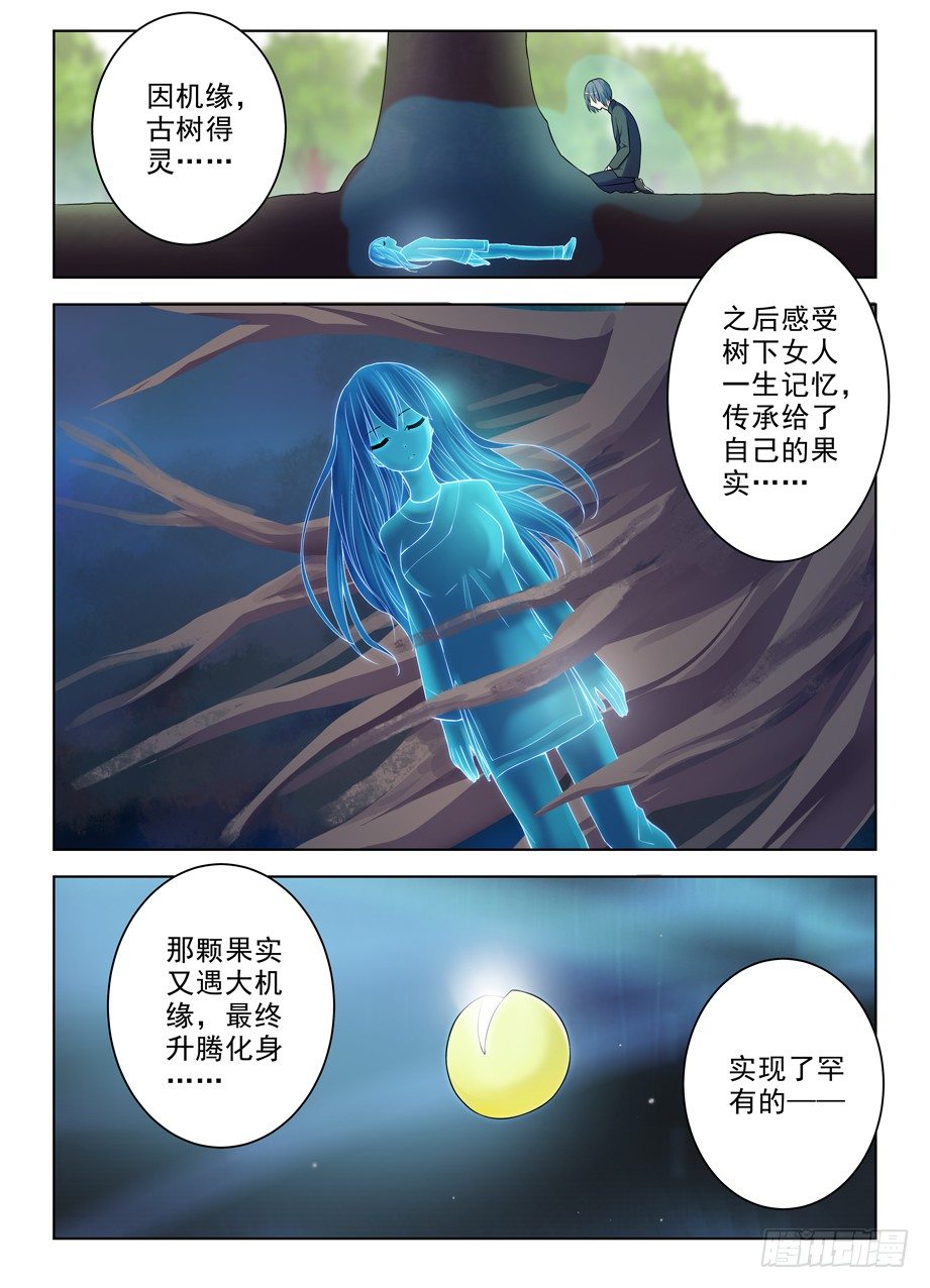 285，银杏果13