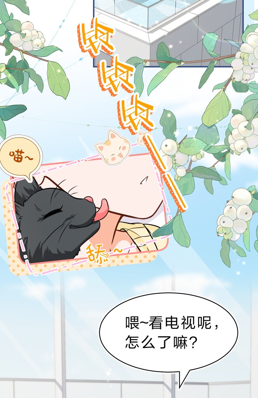 59 臭橘子还学会欺负人了！3