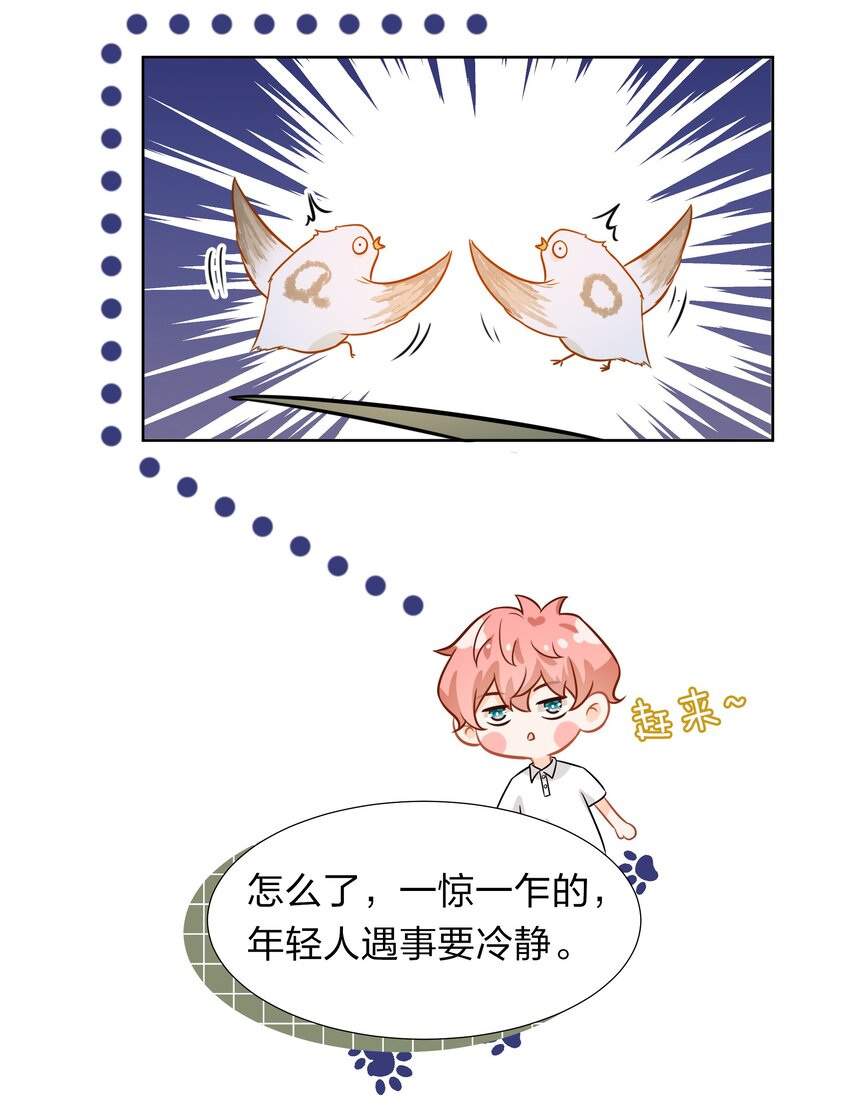 8 快来，我等你55