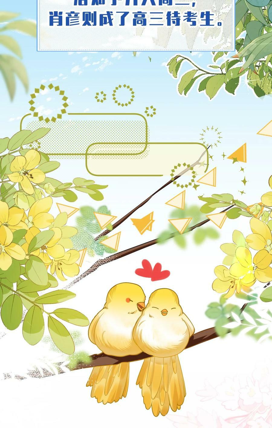 70 青皮橘子砸头啦46