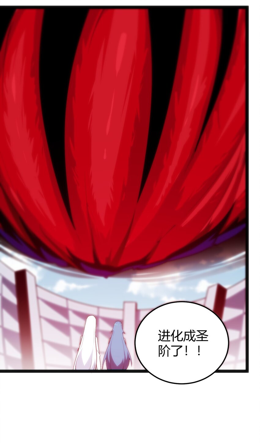 094 风境四护卫集结！2