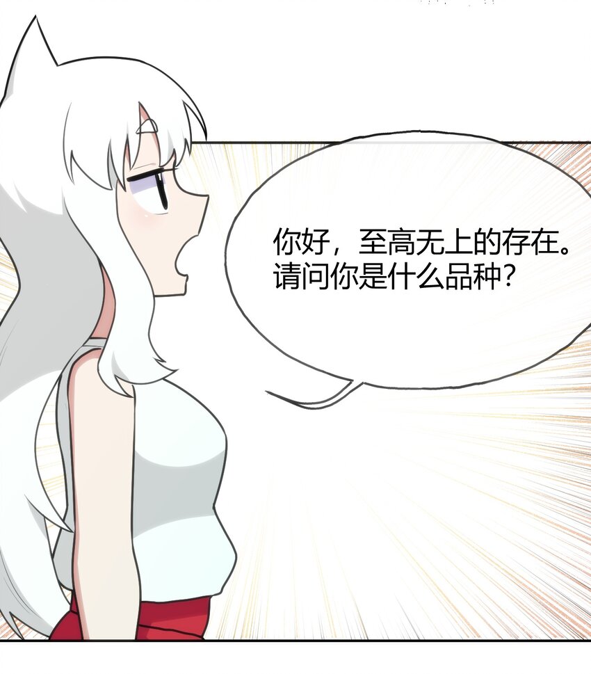 144 至高无上的存在40