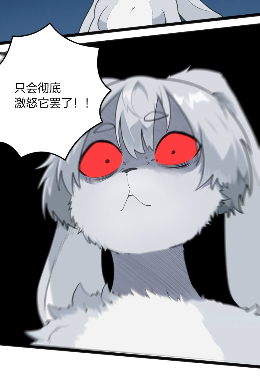 067 兔子，好壮一只大兔子3