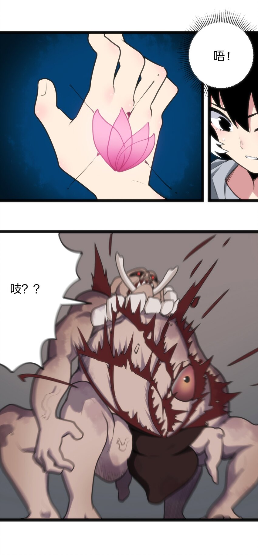 069 莲花19