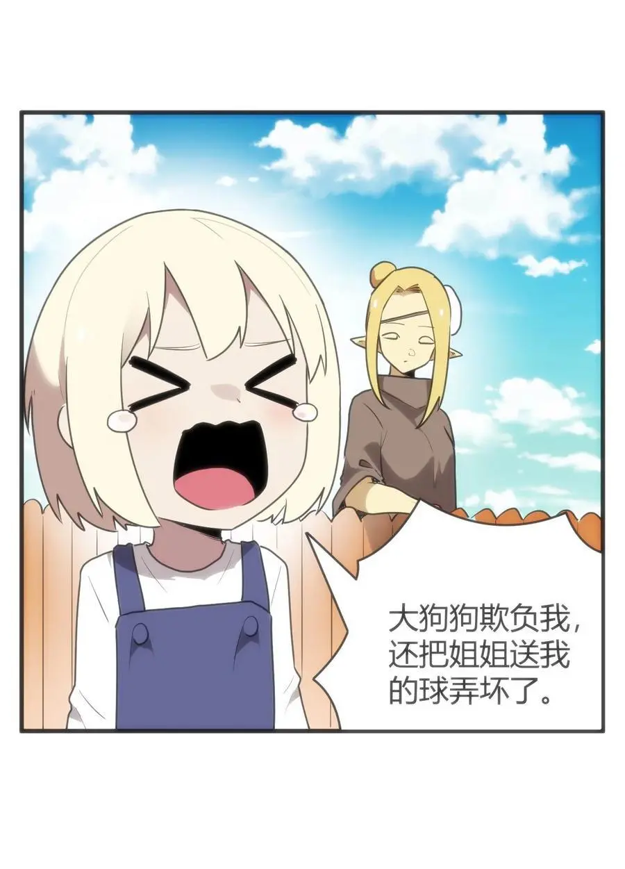 306 族长信物26
