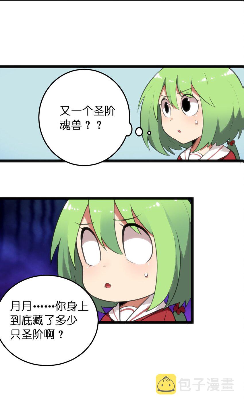 042 又一个圣阶魂兽12