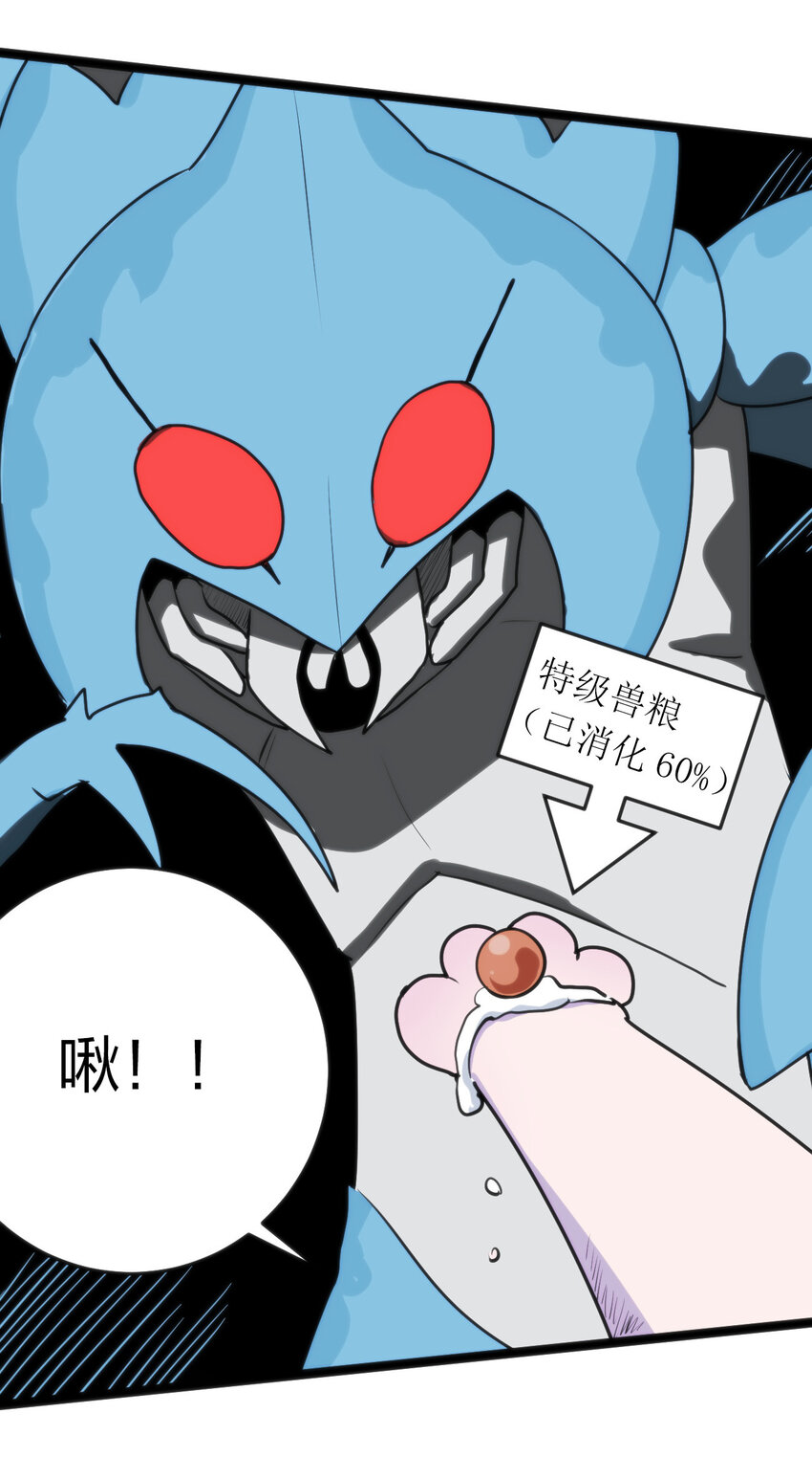 020 第三只魂宠GET！9