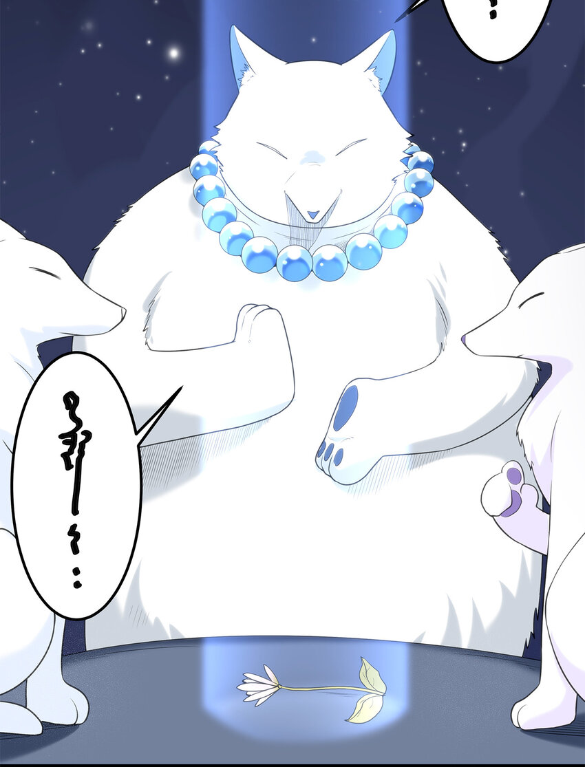 006 第二魂宠3