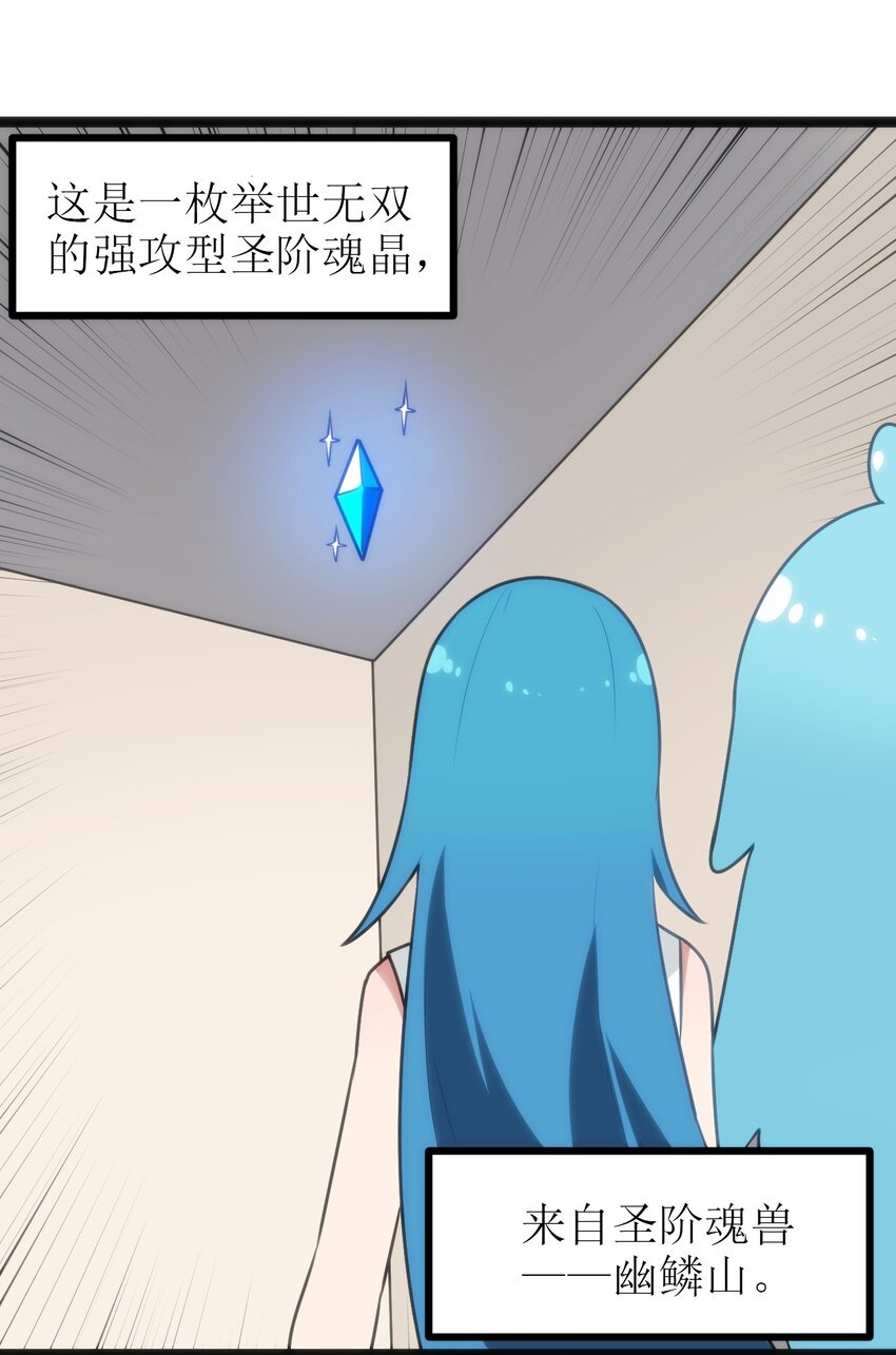 082 圣阶魂晶42