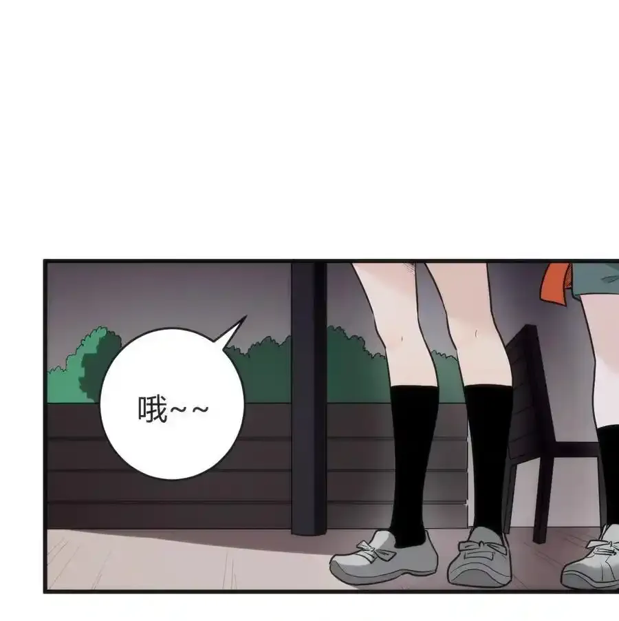 312 伪装22
