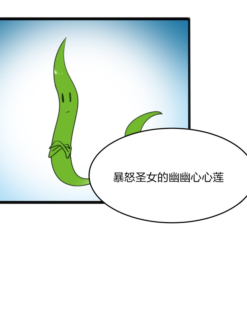 046 七只圣阶魂兽26