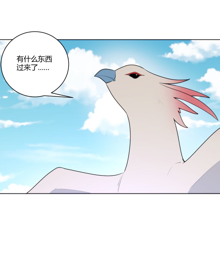 206 白花踏月鹿14