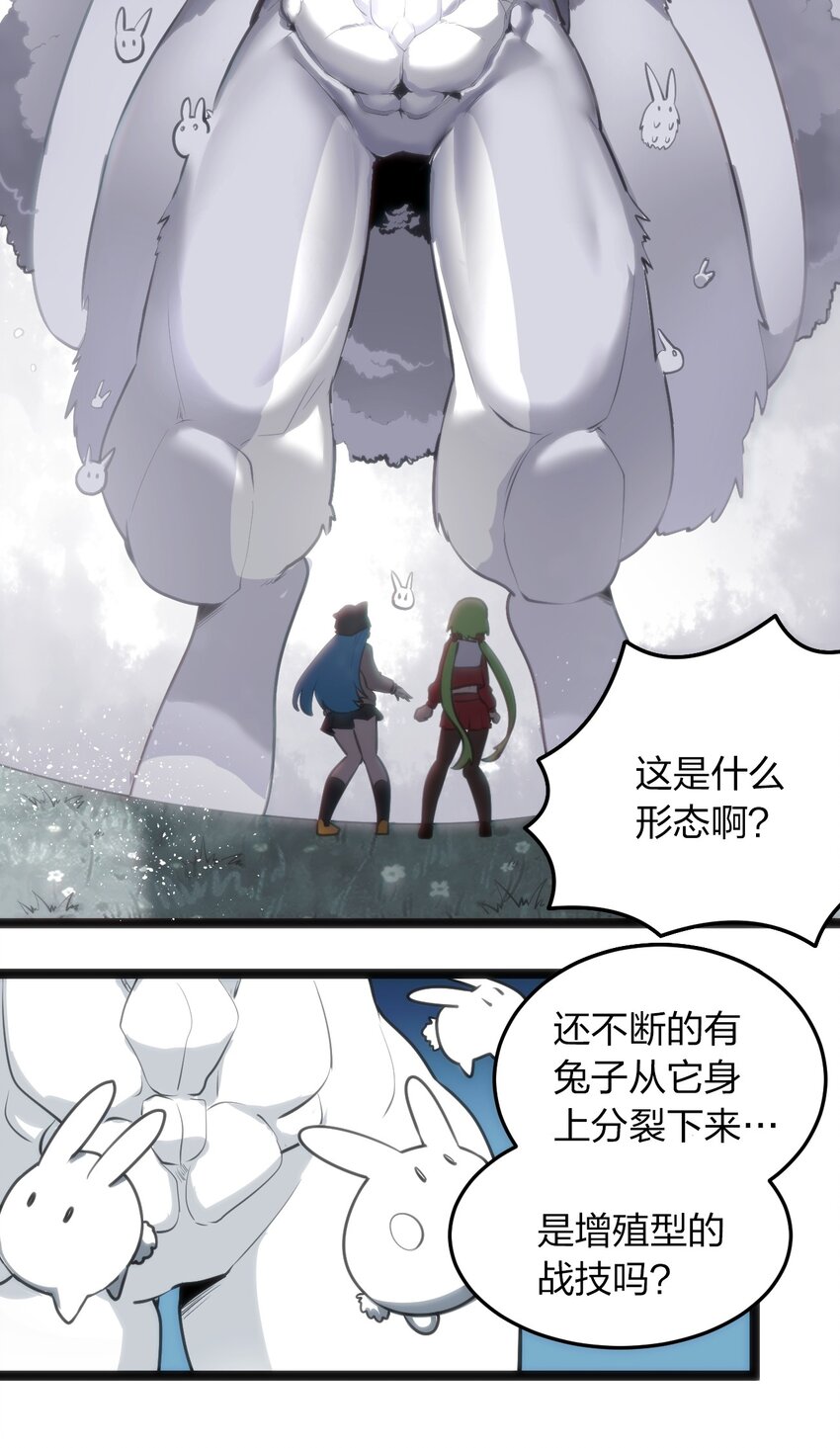 067 兔子，好壮一只大兔子24