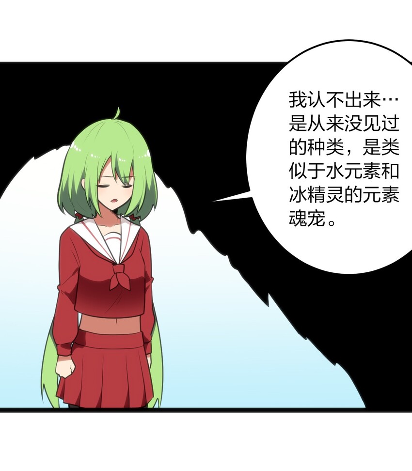 046 七只圣阶魂兽29