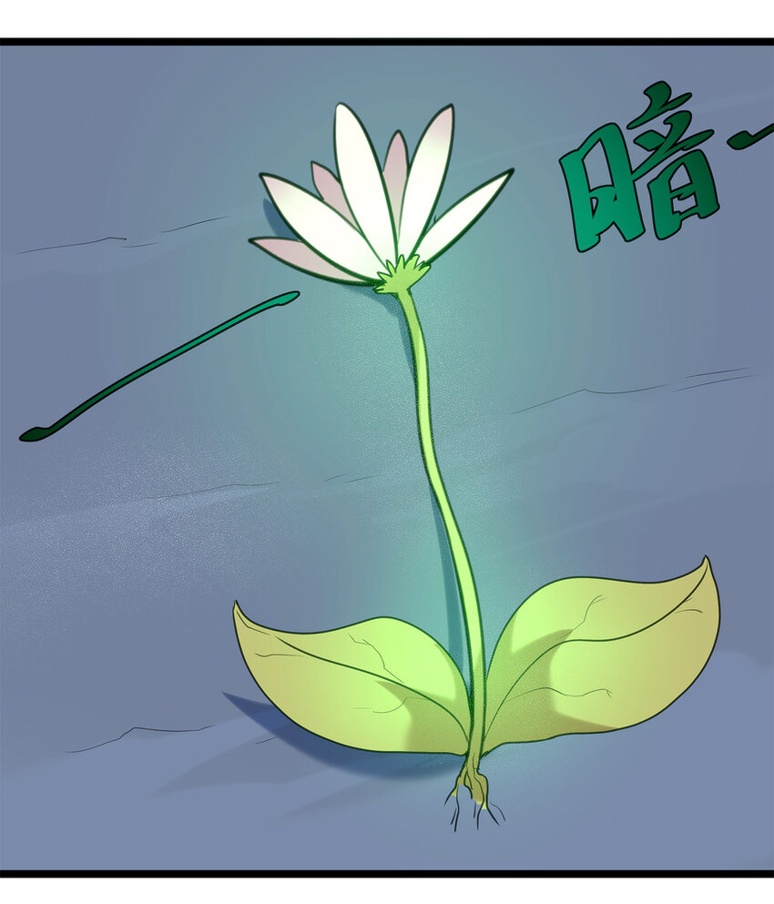 006 第二魂宠5