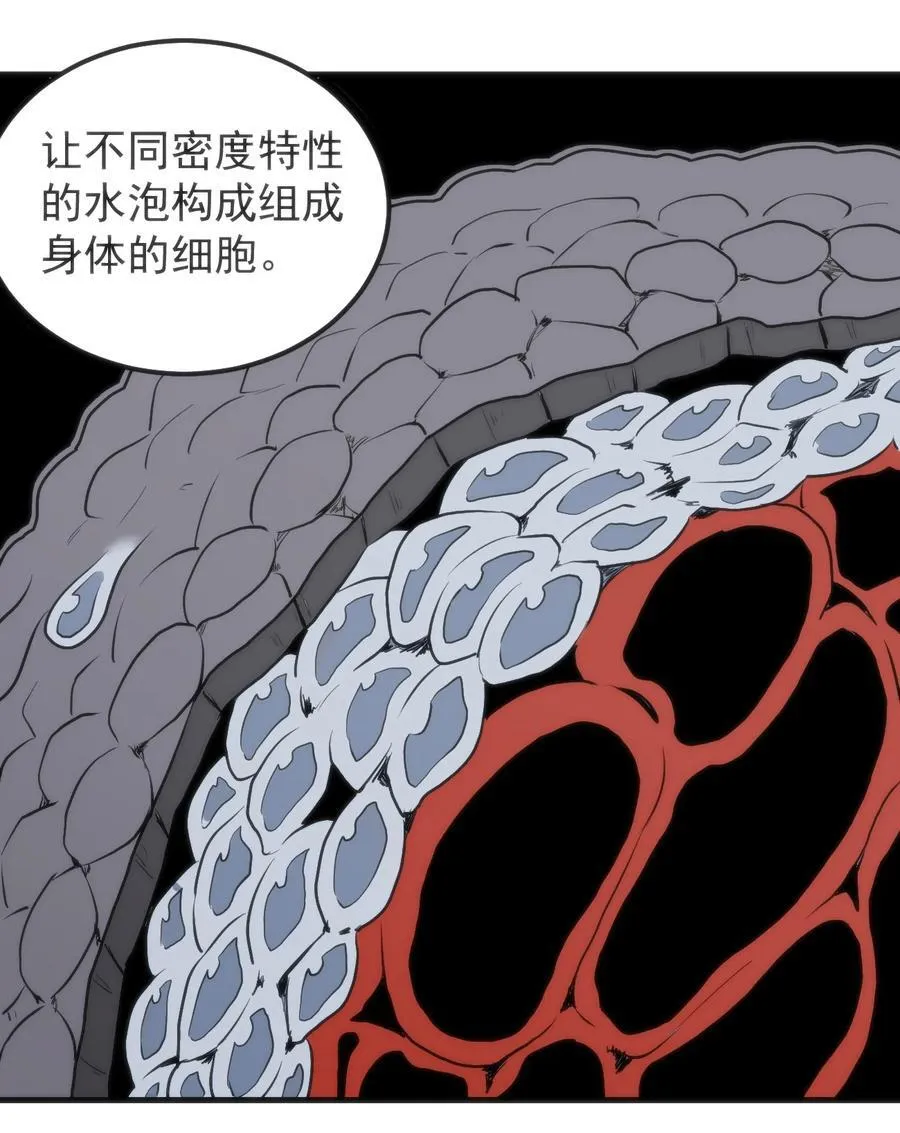 323 软趴趴37