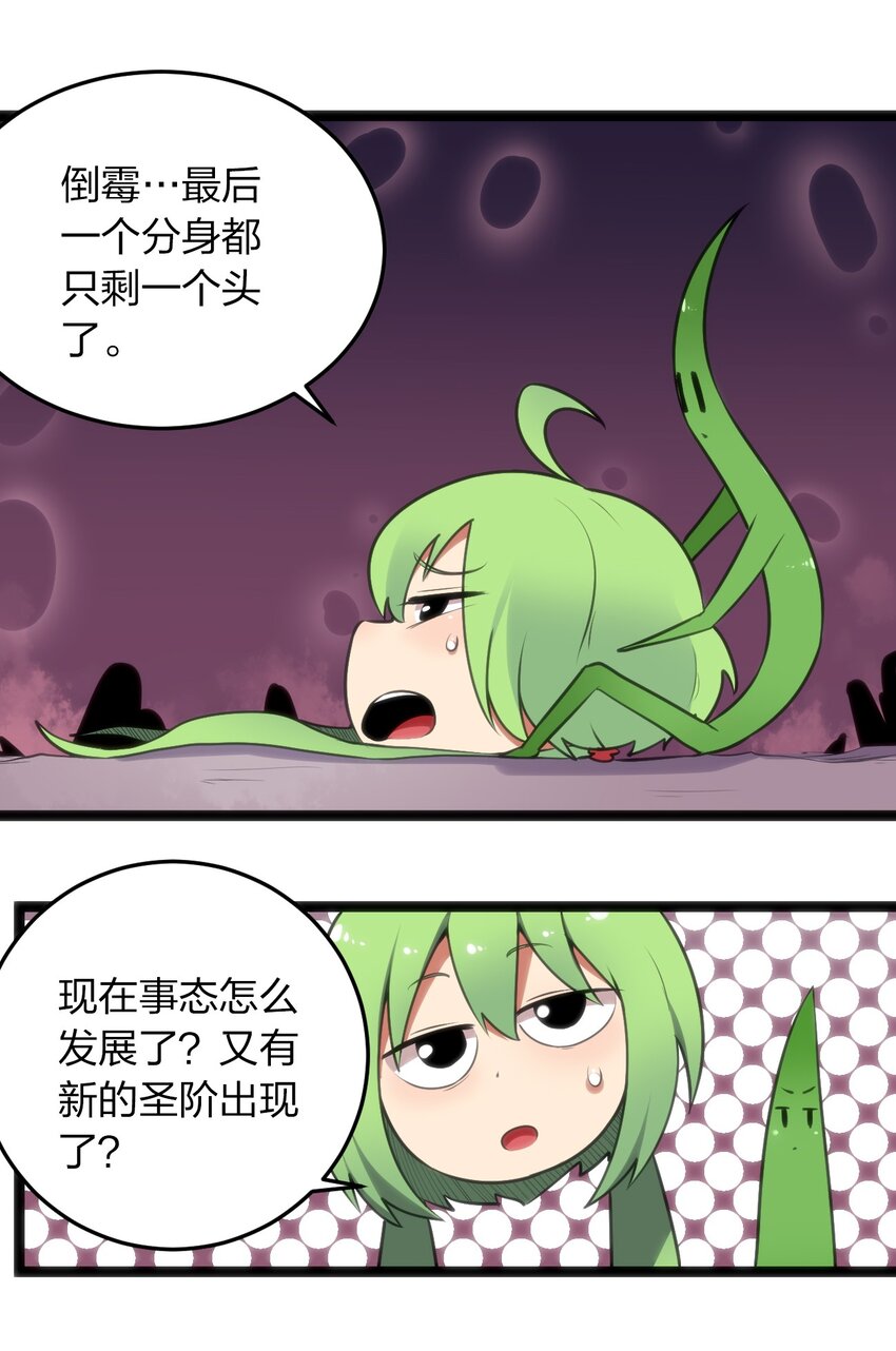 043 不是同族14